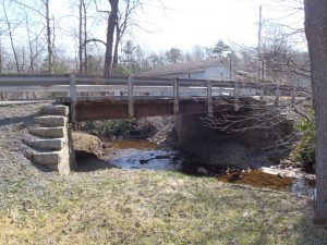 2_Roaring Fork-Before